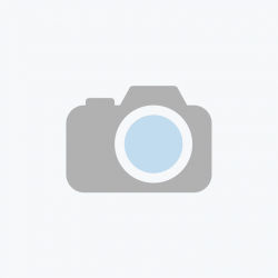 Immagine predefinita